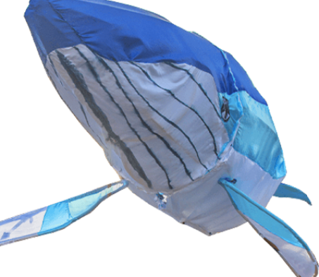 Lorem Impsum Ledgend Description